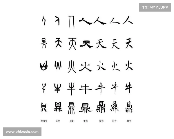 以期字为核心探讨其在古今语言中的演变及文化内涵解析 以期字为核心探讨其在古今语言中的演变及文化内涵解析